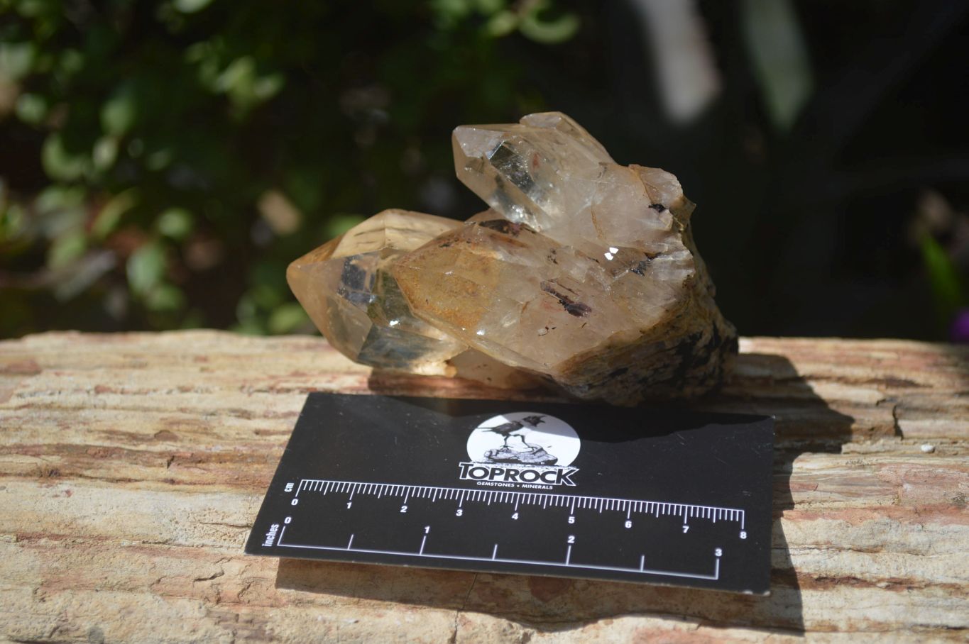 Natural Smokey Quartz Clusters x 6 From Luena, Congo - Toprock Gemstones and Minerals 