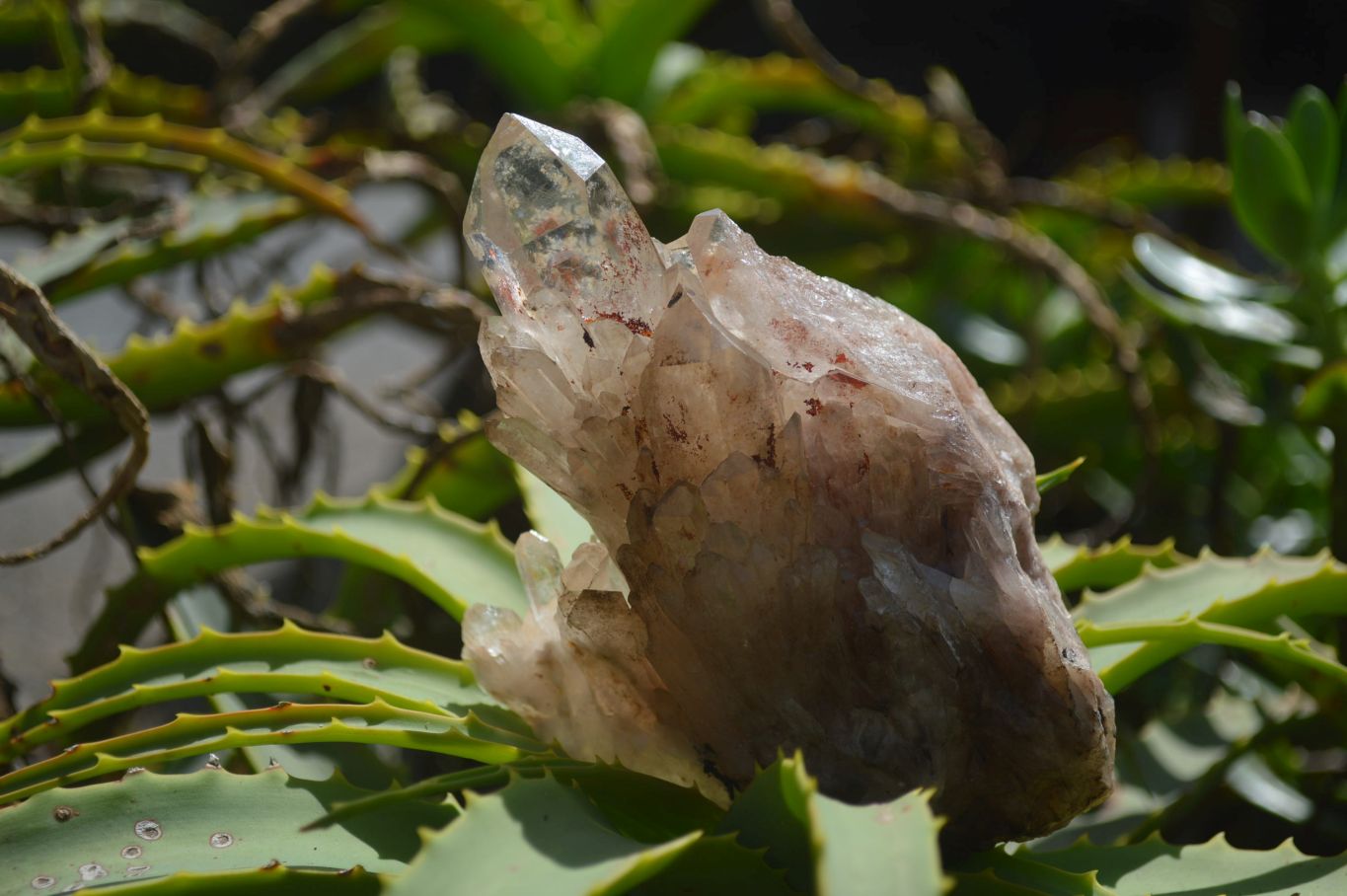 Natural Smokey Quartz Clusters x 6 From Luena, Congo - Toprock Gemstones and Minerals 
