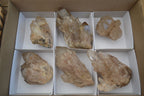 Natural Smokey Quartz Clusters x 6 From Luena, Congo - Toprock Gemstones and Minerals 