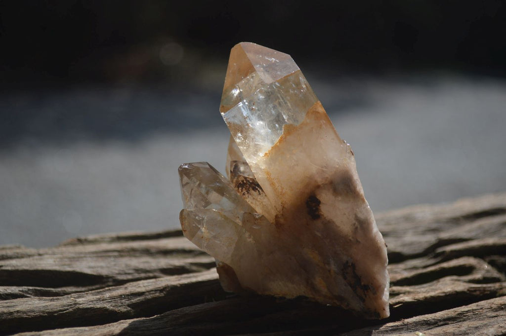Natural Smokey Quartz Clusters x 6 From Luena, Congo - Toprock Gemstones and Minerals 