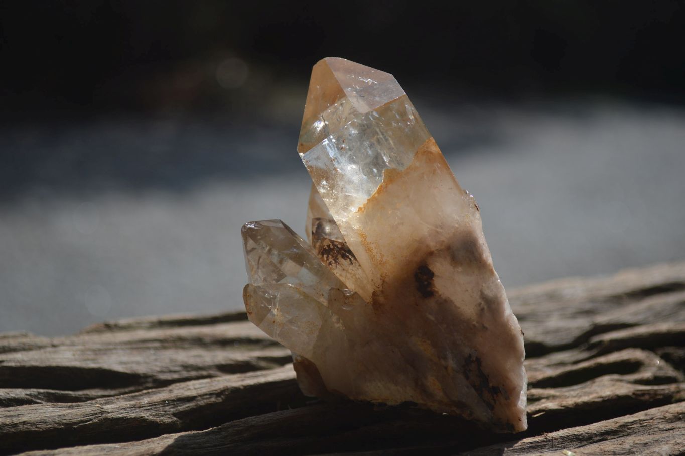 Natural Smokey Quartz Clusters x 6 From Luena, Congo - Toprock Gemstones and Minerals 