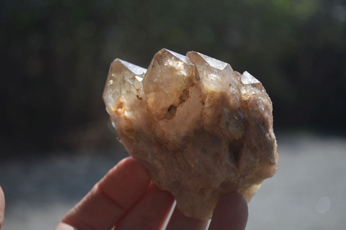 Natural Smokey Quartz Clusters x 6 From Luena, Congo - Toprock Gemstones and Minerals 