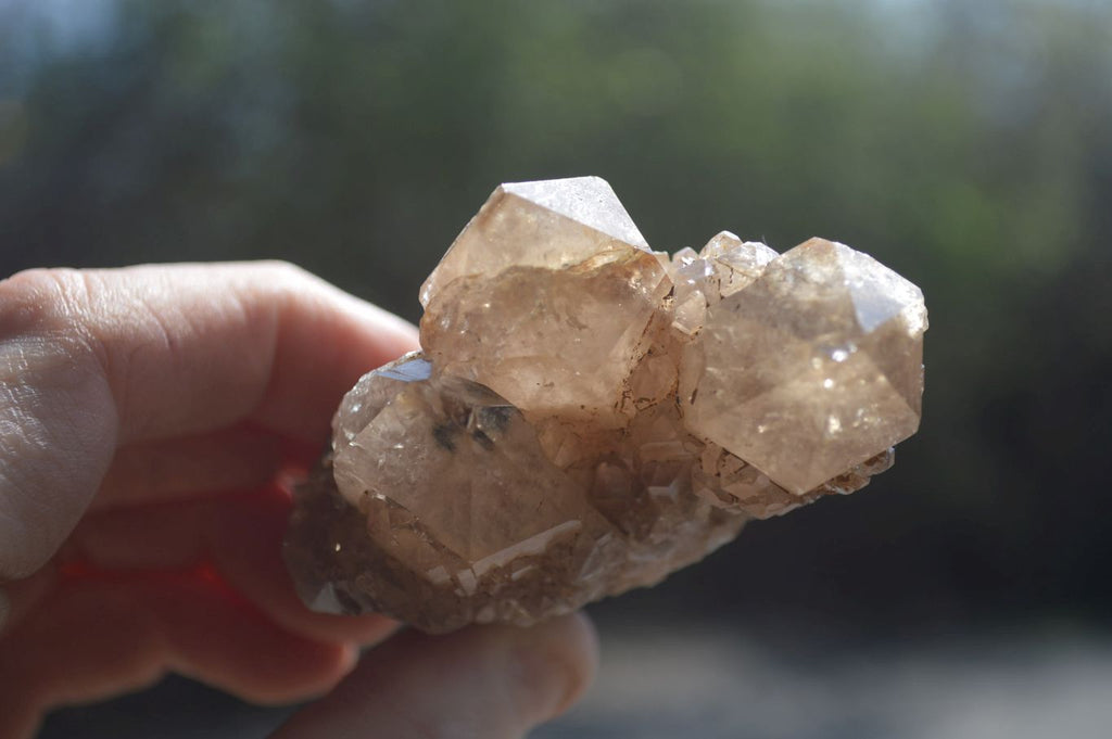 Natural Smokey Quartz Clusters x 6 From Luena, Congo - Toprock Gemstones and Minerals 