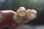 Natural Smokey Quartz Clusters x 6 From Luena, Congo - Toprock Gemstones and Minerals 
