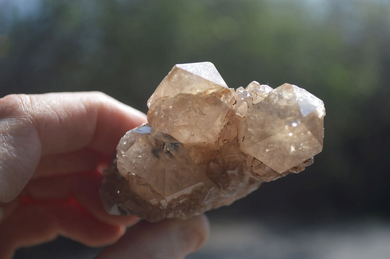 Natural Smokey Quartz Clusters x 6 From Luena, Congo - Toprock Gemstones and Minerals 