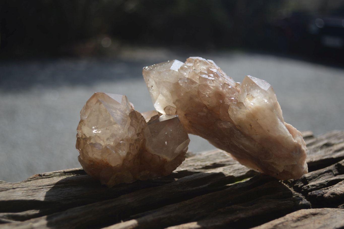 Natural Smokey Quartz Clusters x 6 From Luena, Congo - Toprock Gemstones and Minerals 