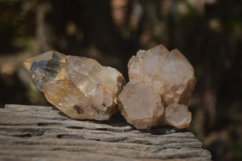 Natural Smokey Quartz Clusters x 6 From Luena, Congo - Toprock Gemstones and Minerals 