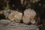 Natural Smokey Quartz Clusters x 6 From Luena, Congo - Toprock Gemstones and Minerals 