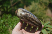 Polished Podocarpus Petrified Wood Hearts x 3 From Mahajanga, Madagascar