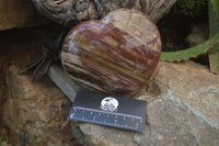 Polished Podocarpus Petrified Wood Hearts x 3 From Mahajanga, Madagascar