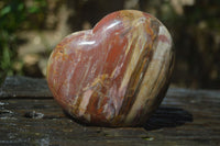 Polished Podocarpus Petrified Wood Hearts x 3 From Mahajanga, Madagascar