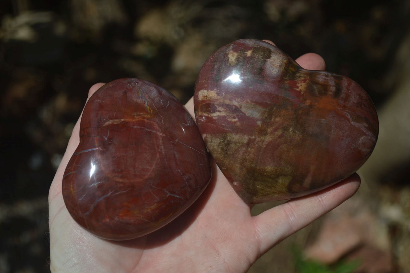 Polished Podocarpus Petrified Wood Hearts x 3 From Mahajanga, Madagascar - Toprock Gemstones and Minerals 