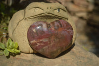 Polished Podocarpus Petrified Wood Hearts x 3 From Mahajanga, Madagascar