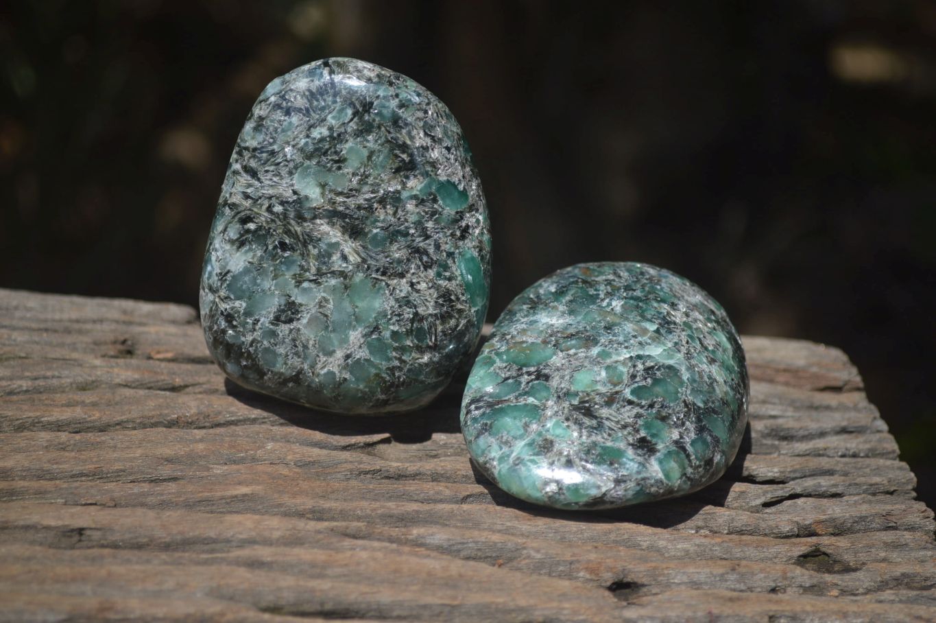 Polished Rare Emerald Mica In Matrix Free Forms x 6 From Mutoko, Zimbabwe - Toprock Gemstones and Minerals 