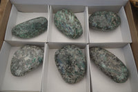 Polished Rare Emerald Mica In Matrix Free Forms x 6 From Mutoko, Zimbabwe - Toprock Gemstones and Minerals 