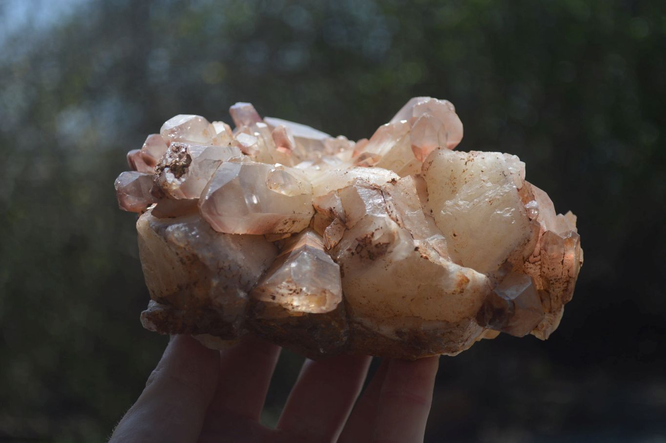 Natural Red Hematoid Quartz Clusters x 2 From Karoi, Zimbabwe - Toprock Gemstones and Minerals 