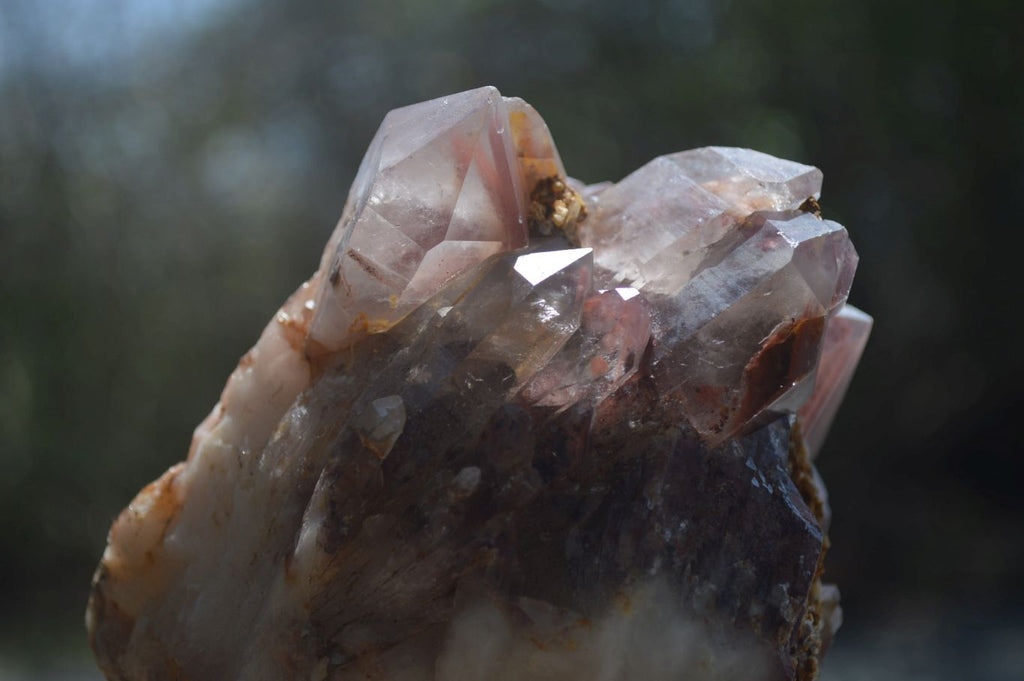 Natural Red Hematoid Quartz Clusters x 2 From Karoi, Zimbabwe - Toprock Gemstones and Minerals 