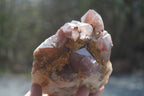 Natural Red Hematoid Quartz Clusters x 2 From Karoi, Zimbabwe - Toprock Gemstones and Minerals 