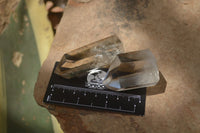 Polished Smokey Phantom Quartz Crystals x 12 From Madagascar - Toprock Gemstones and Minerals 