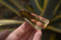 Polished Smokey Phantom Quartz Crystals x 12 From Madagascar - Toprock Gemstones and Minerals 