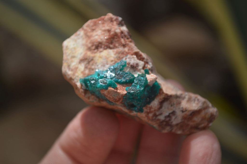 Natural Dioptase On Dolomite Specimens x 6 From Likasi, Congo - Toprock Gemstones and Minerals 