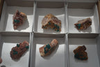 Natural Dioptase On Dolomite Specimens x 6 From Likasi, Congo - Toprock Gemstones and Minerals 