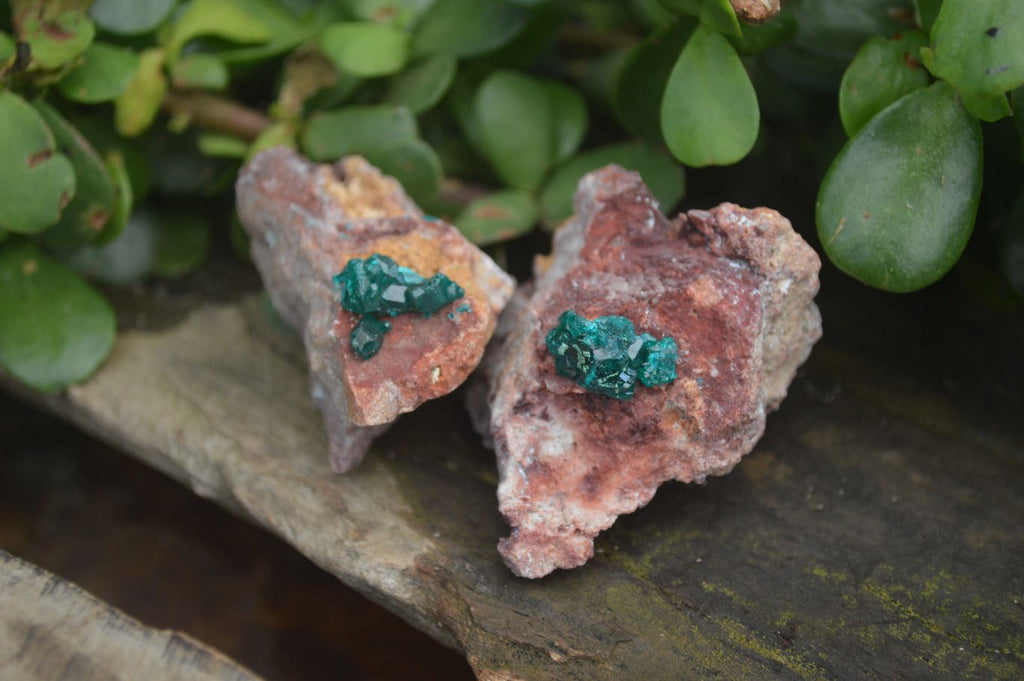 Natural Dioptase On Dolomite Specimens x 6 From Likasi, Congo - Toprock Gemstones and Minerals 