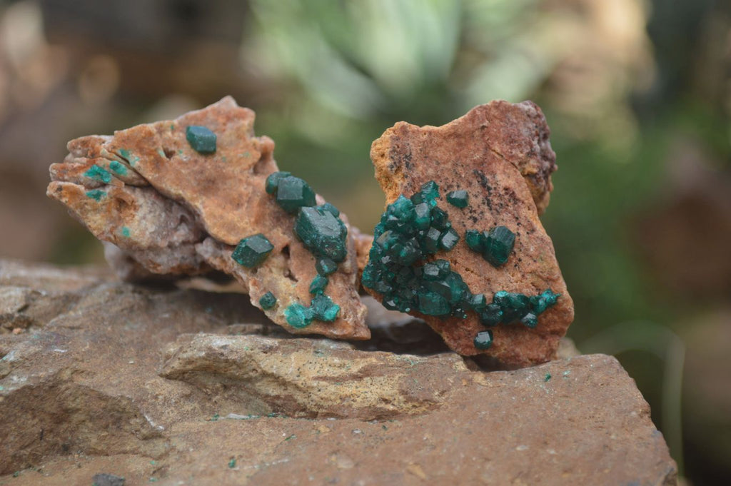 Natural Dioptase On Dolomite Specimens x 6 From Likasi, Congo - Toprock Gemstones and Minerals 