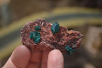 Natural Dioptase On Dolomite Specimens x 6 From Likasi, Congo - Toprock Gemstones and Minerals 