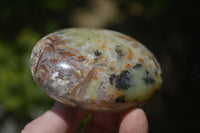 Polished Dendritic Opal Palm Stones x 12 From Moralambo, Madagascar - Toprock Gemstones and Minerals 
