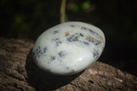 Polished Dendritic Opal Palm Stones x 12 From Moralambo, Madagascar - Toprock Gemstones and Minerals 
