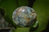 Polished Dendritic Opal Palm Stones x 12 From Moralambo, Madagascar - Toprock Gemstones and Minerals 