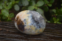 Polished Dendritic Opal Palm Stones x 12 From Moralambo, Madagascar - Toprock Gemstones and Minerals 