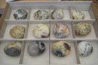 Polished Dendritic Opal Palm Stones x 12 From Moralambo, Madagascar - Toprock Gemstones and Minerals 