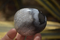 Polished Dendritic Opal Palm Stones x 12 From Moralambo, Madagascar - Toprock Gemstones and Minerals 