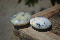 Polished Dendritic Opal Palm Stones x 12 From Moralambo, Madagascar - Toprock Gemstones and Minerals 