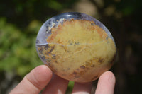 Polished Dendritic Opal Palm Stones x 12 From Moralambo, Madagascar - Toprock Gemstones and Minerals 