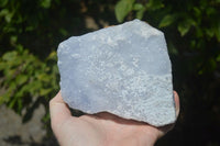 Natural Crystalline Blue Lace Agate Plates x 2 From Namibia - Toprock Gemstones and Minerals 