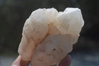 Natural Pineapple Candle Quartz Crystal Specimens x 3 Antsirabe, Madagascar - Toprock Gemstones and Minerals 