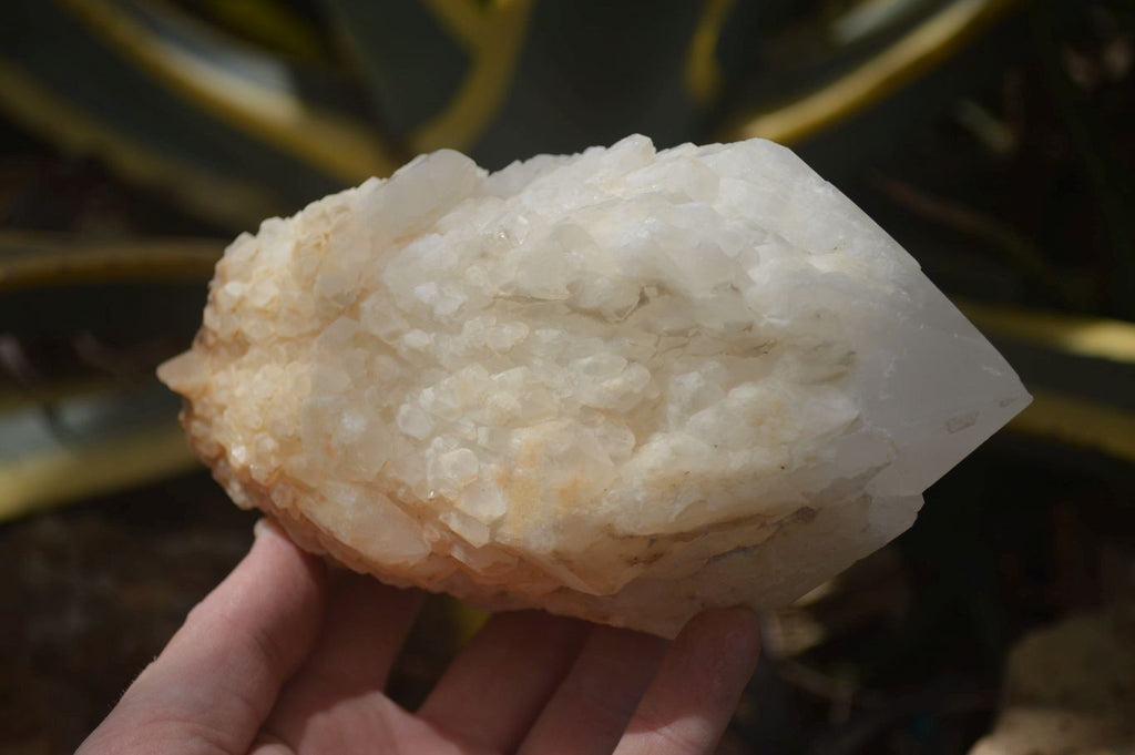 Natural Pineapple Candle Quartz Crystal Specimens x 3 Antsirabe, Madagascar - Toprock Gemstones and Minerals 