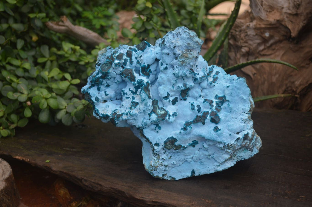 Natural Botryoidal Chrysocolla Specimen x 1 From Kulukuluku, Congo - Toprock Gemstones and Minerals 