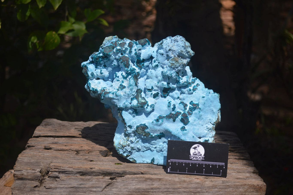 Natural Botryoidal Chrysocolla Specimen x 1 From Kulukuluku, Congo - Toprock Gemstones and Minerals 