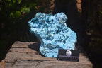 Natural Botryoidal Chrysocolla Specimen x 1 From Kulukuluku, Congo - Toprock Gemstones and Minerals 