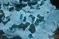 Natural Botryoidal Chrysocolla Specimen x 1 From Kulukuluku, Congo - Toprock Gemstones and Minerals 