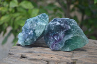 Natural Watermelon Fluorite Cobbed Specimens x 9 From Uis, Namibia - Toprock Gemstones and Minerals 