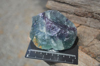 Natural Watermelon Fluorite Cobbed Specimens x 9 From Uis, Namibia - Toprock Gemstones and Minerals 