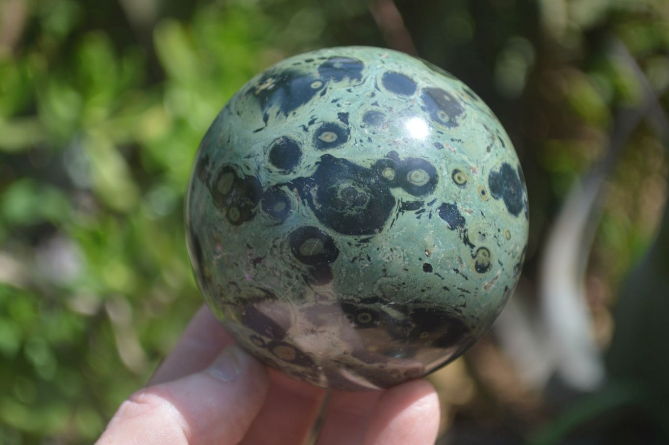 Polished Stromatolite Jasper Spheres x 3 From Katsepy, Madagascar - Toprock Gemstones and Minerals 