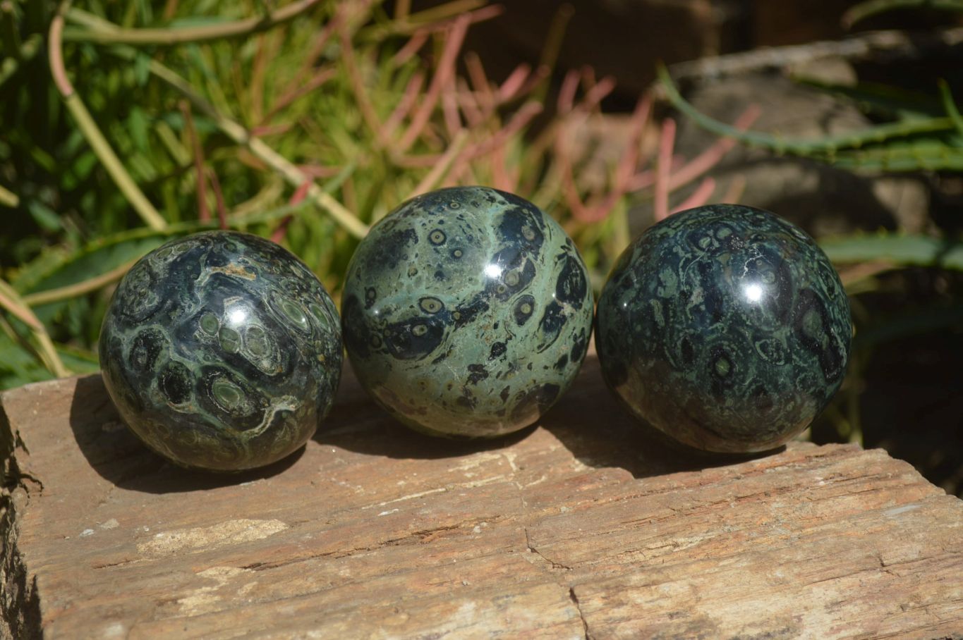 Polished Stromatolite Jasper Spheres x 3 From Katsepy, Madagascar - Toprock Gemstones and Minerals 