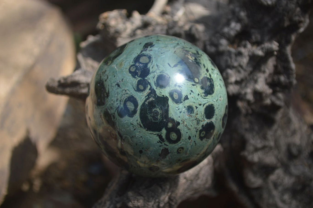 Polished Stromatolite Jasper Spheres x 3 From Katsepy, Madagascar - Toprock Gemstones and Minerals 