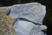 Natural Crystalline Blue Lace Agate Specimen x 1 From Namibia - Toprock Gemstones and Minerals 